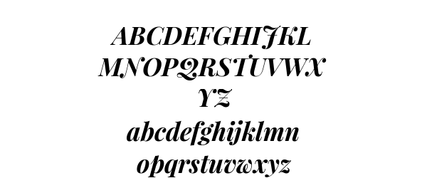 Playfair Display Bold Italic Preview